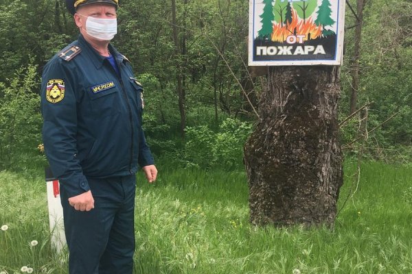 Кракен бошки
