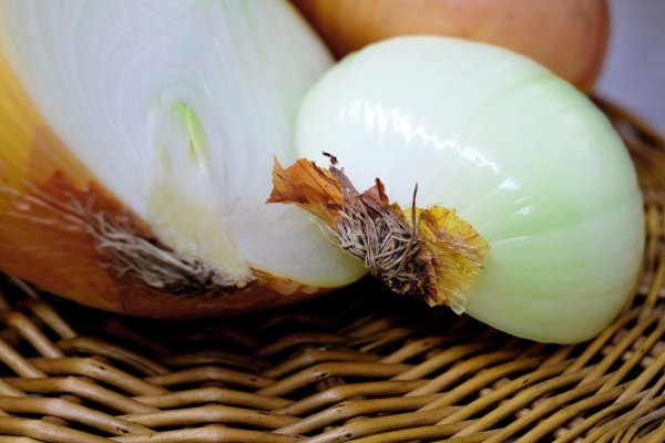 Kraken адрес onion